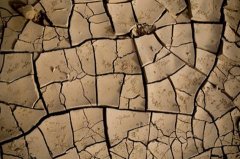 研究報(bào)告：全球逾40億人每年有一個(gè)月嚴(yán)重缺水