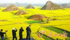 春天已經(jīng)到來(lái) 油菜花海那么多該去哪？(圖)-榮軒